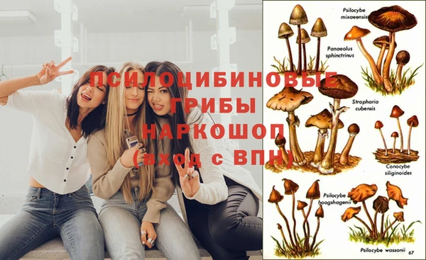 прущие грибы Остров