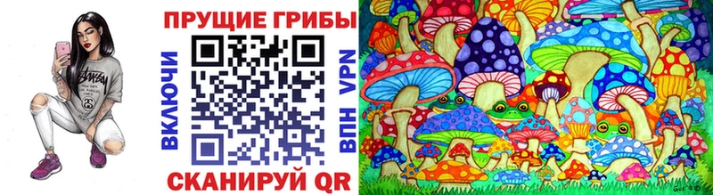Псилоцибиновые грибы прущие грибы  Подпорожье 